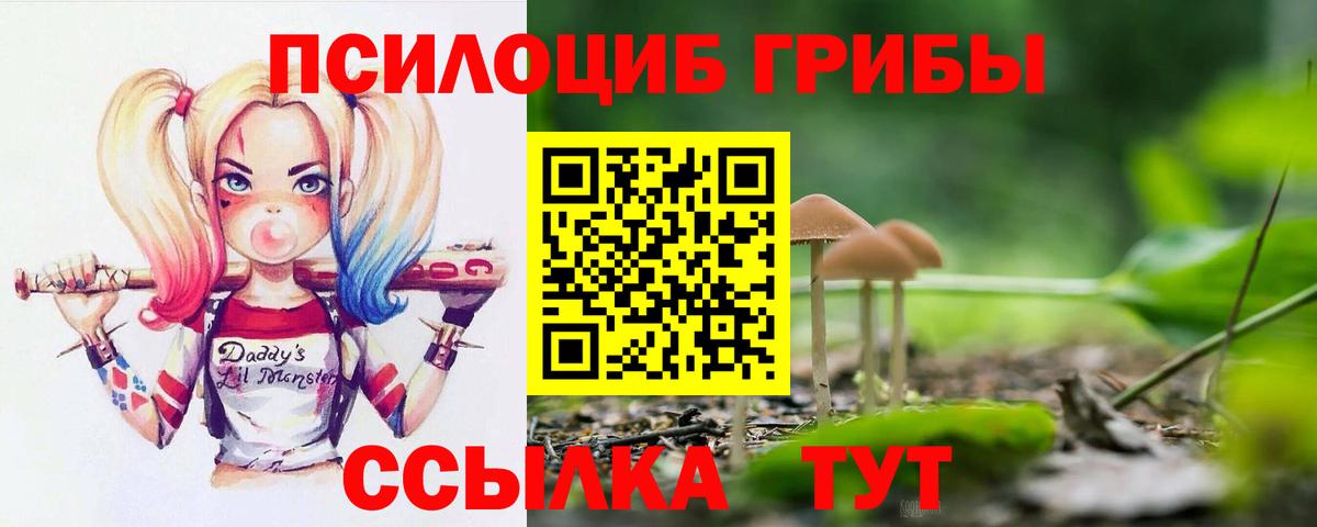 Галлюциногенные грибы ЛСД Чайковский