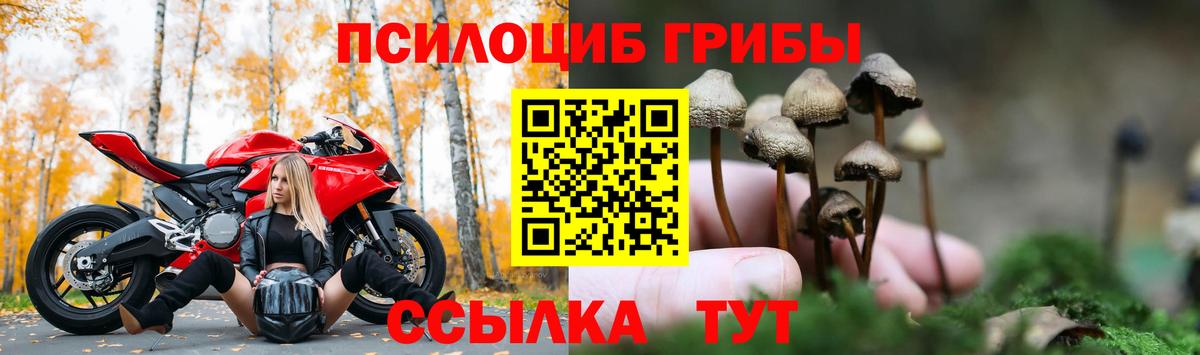 ГАШИШ  Чайковский  Cocaine  Кокаин  МАРИХУАНА  Меф кристаллы  Вход с VPN 